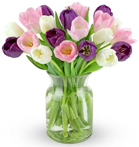 Benchmark Bouquets Seasonal Tulip Mix – Mothers Day Flowers for Delivery – Fresh Cut Tulips for Mom – Pink White Purple Flowers – Birthday & Graduation Gifts for Women – Glass Vase Included (20 Stems)