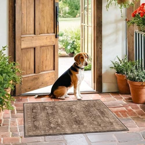 Boho Taupe Brown 2x3 Entryway Rug - Modern Vintage Traditional Eclectic Oriental Neutral, Washable Low Pile Non-Slip Small Throw Area Rugs for Door Mat Indoor Entrance, Kitchen, Bathroom