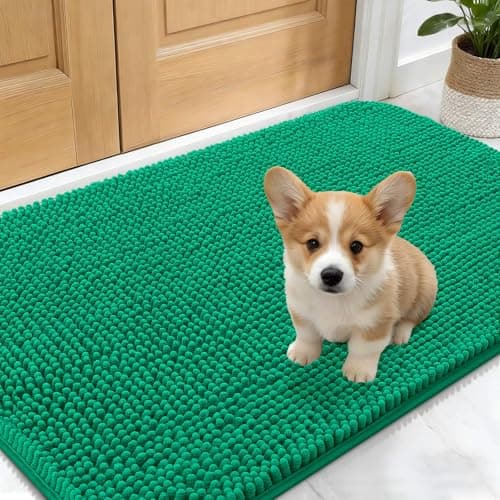OLANLY Dog Door Mat for Muddy Paws 24x16, Absorbs Moisture and Dirt, Absorbent Non-Slip Washable Doormat, Quick Dry Chenille Mud Mat, Entry Indoor Entryway Carpet for Inside Floor, Emerald Green